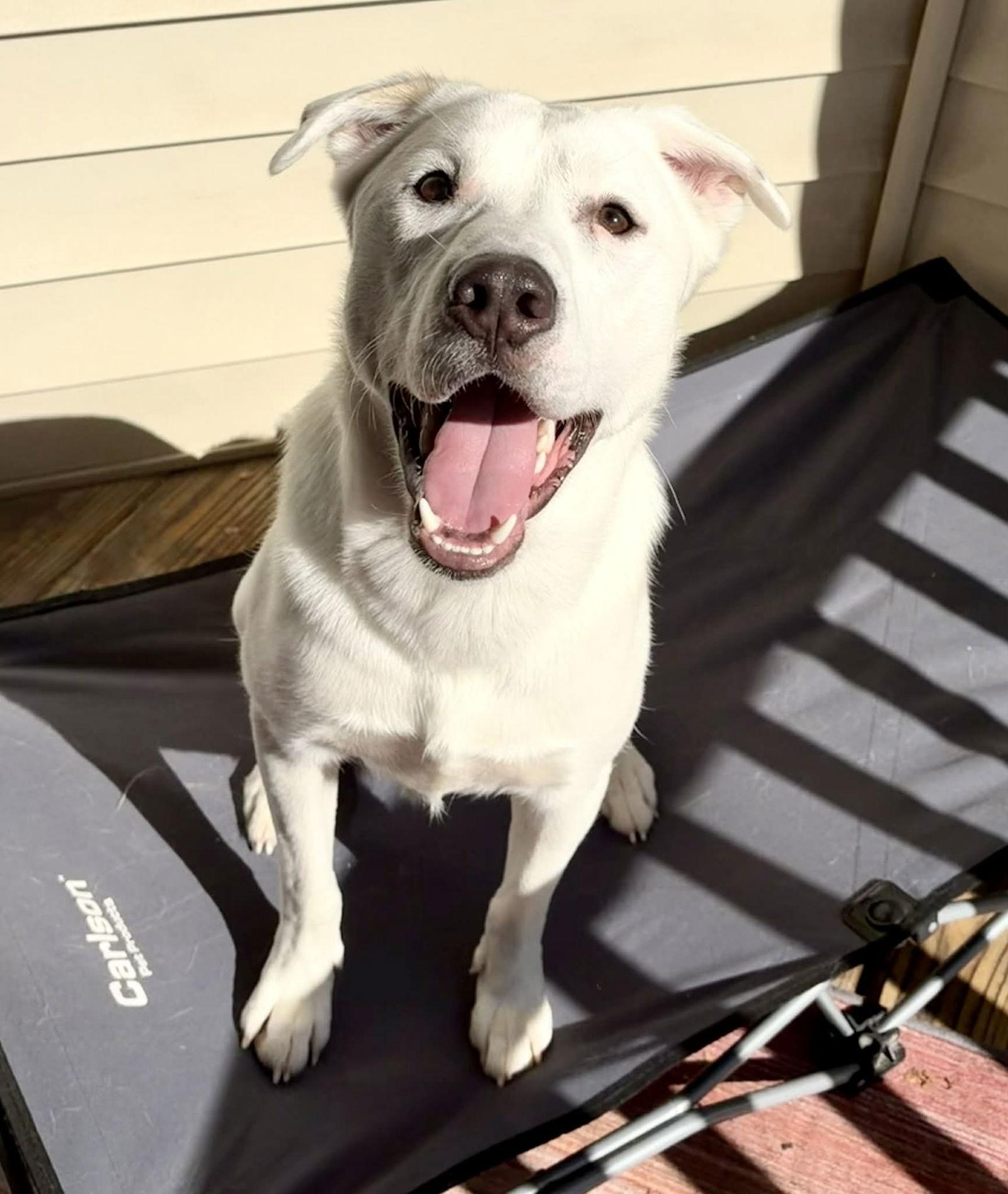 Austin — thumbnail 2