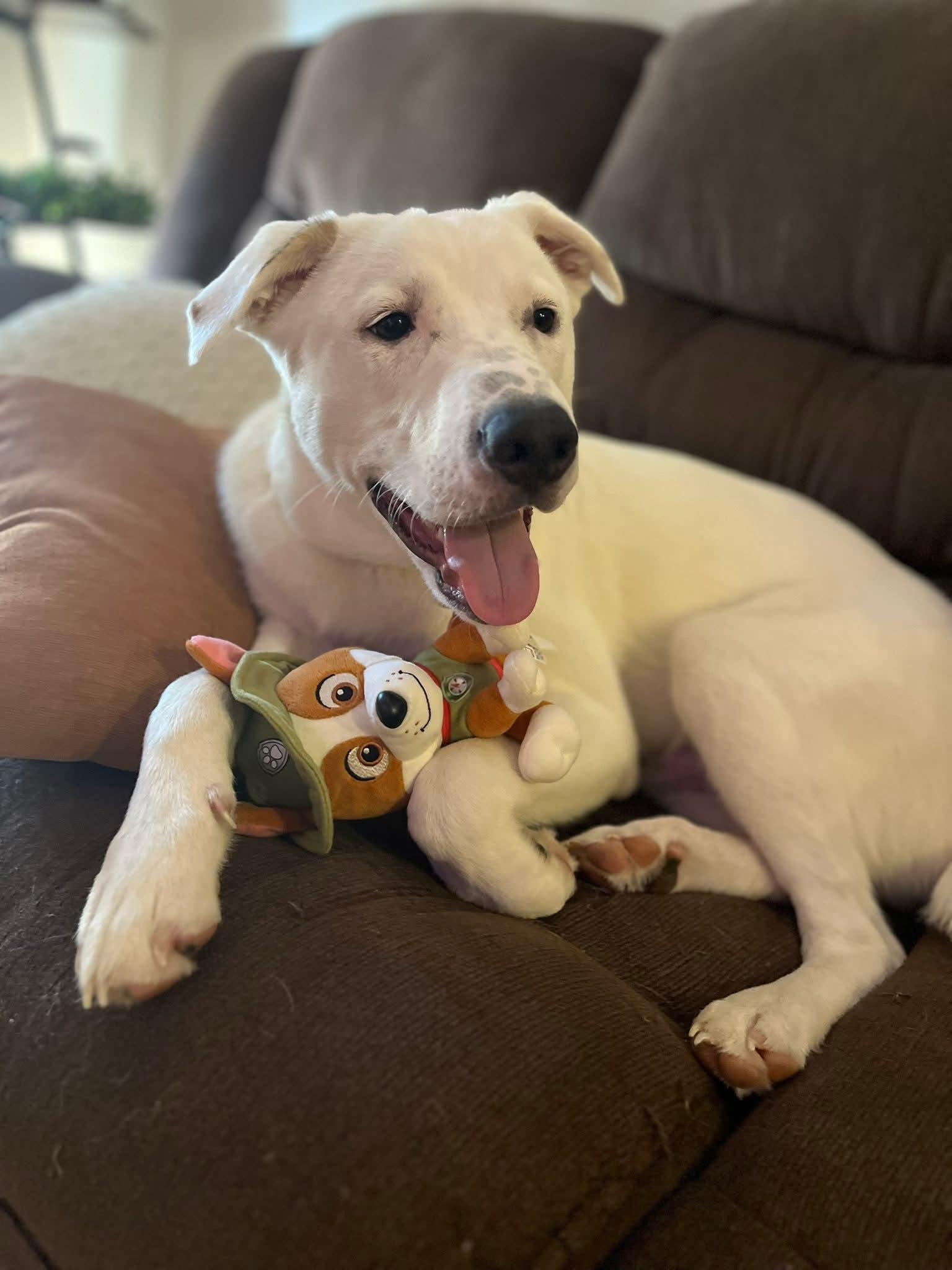 Austin — thumbnail 3