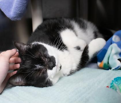 ZeeZee — thumbnail 2