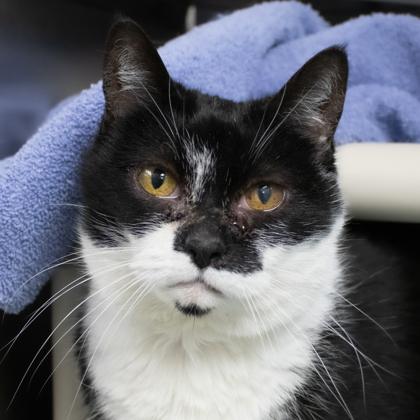 ZeeZee — thumbnail 3