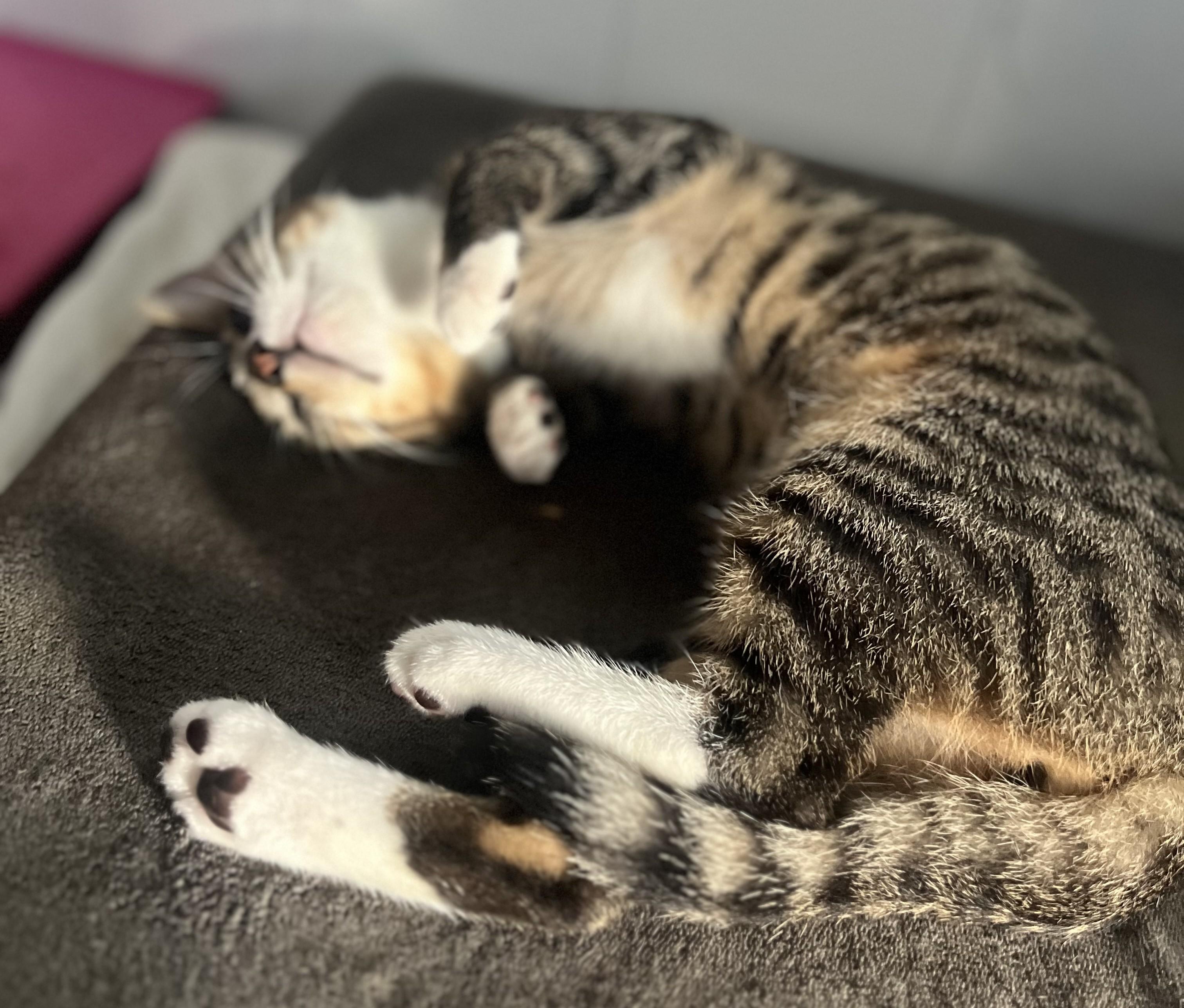Eugene