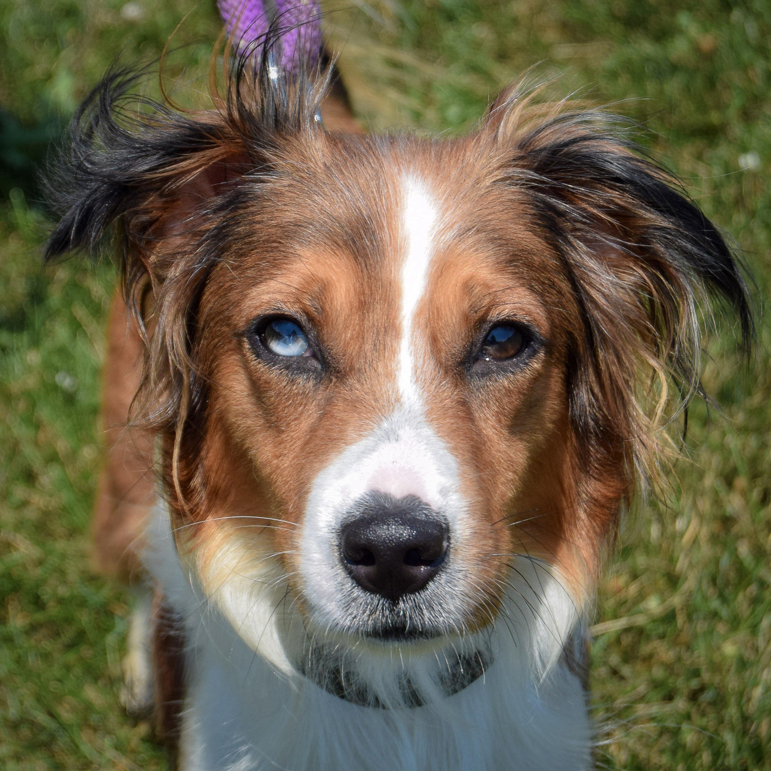 Gussie, Young Female unknown