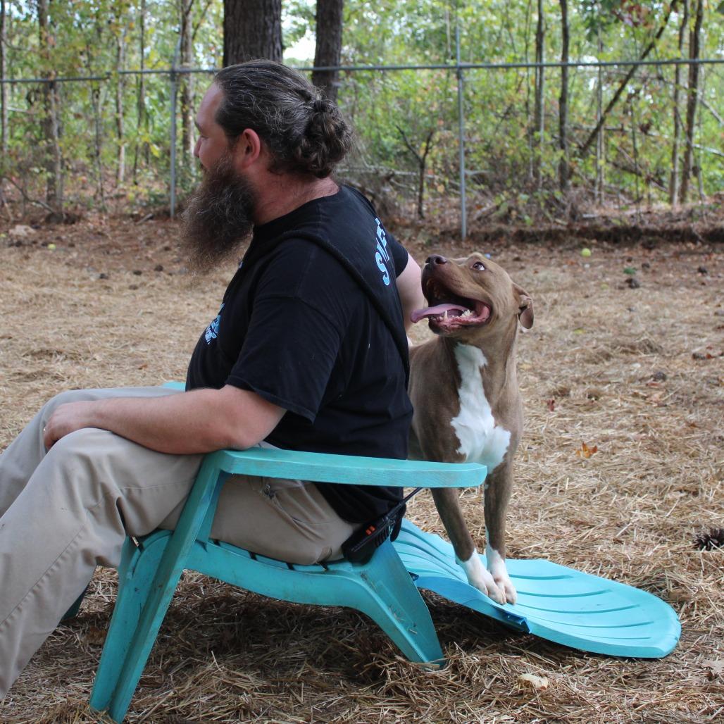 Enlarge Mason, a Adoptable mixed breed in Valley, AL image 6/6