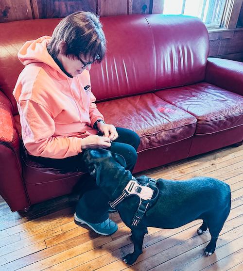 Enlarge Ginger, a ADOPTABLE mixed breed in Sudbury, MA image 3/3