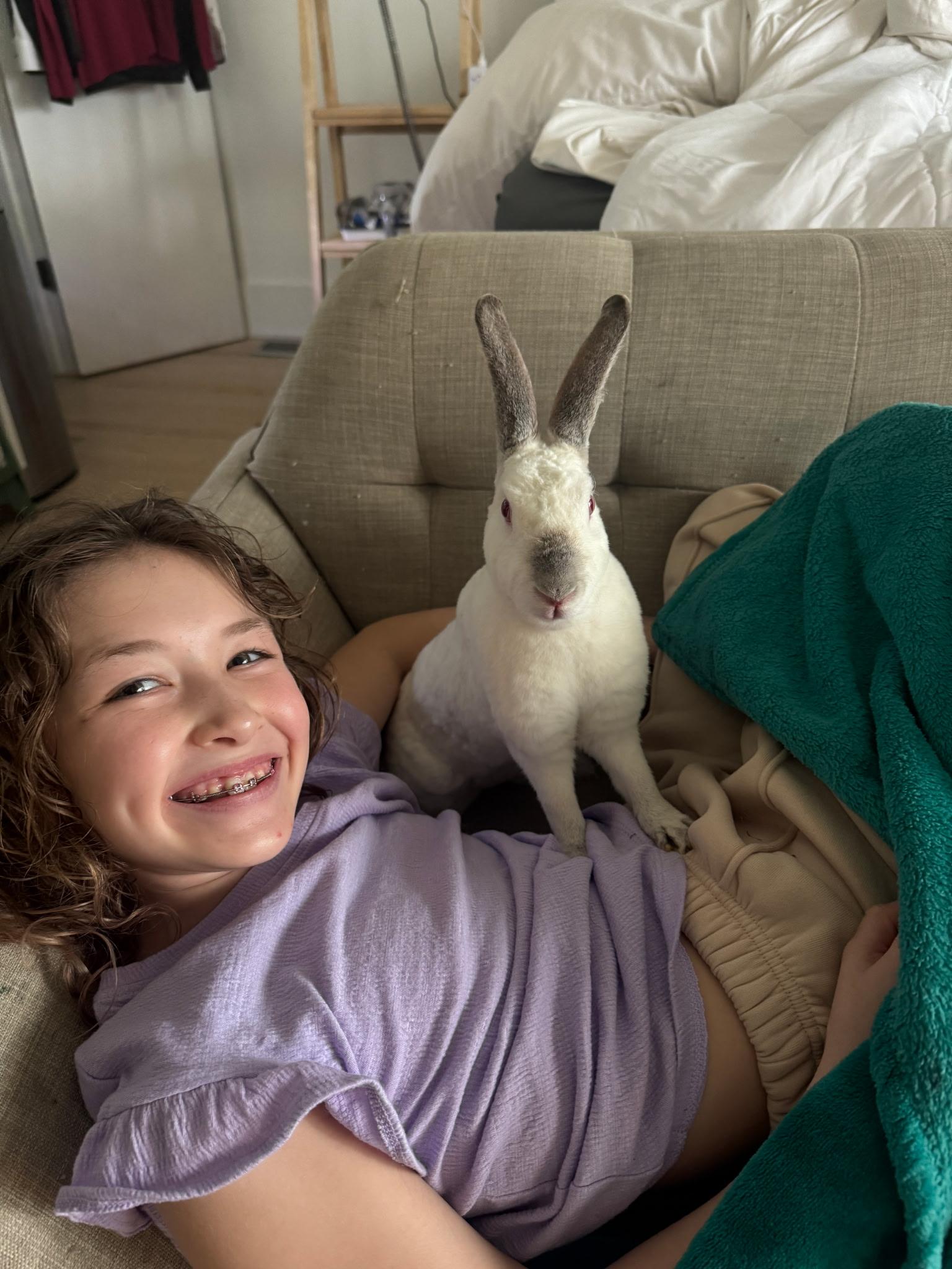 Enlarge Rhonda & Penelope, a ADOPTABLE Californian in Bishopville, SC image 3/5