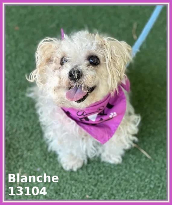 BLANCHE