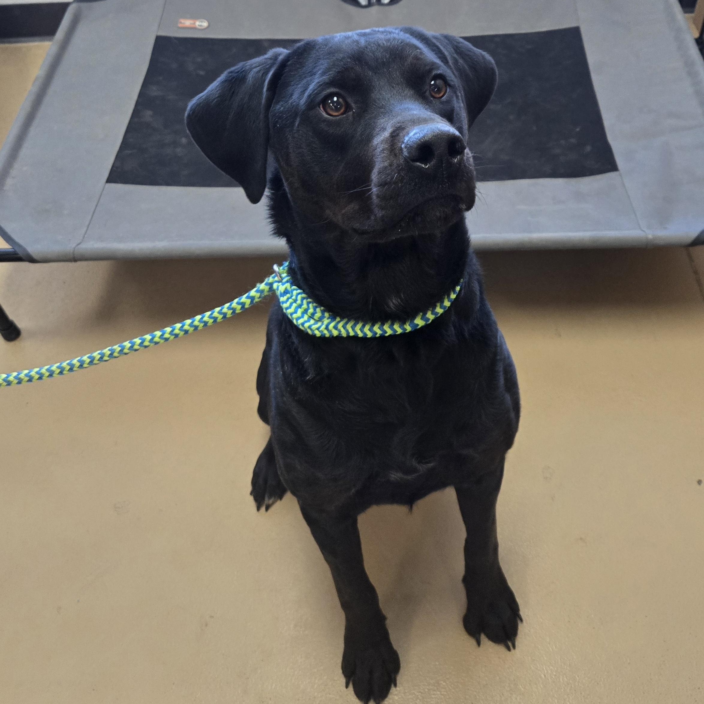 Hercules thumbnail 2