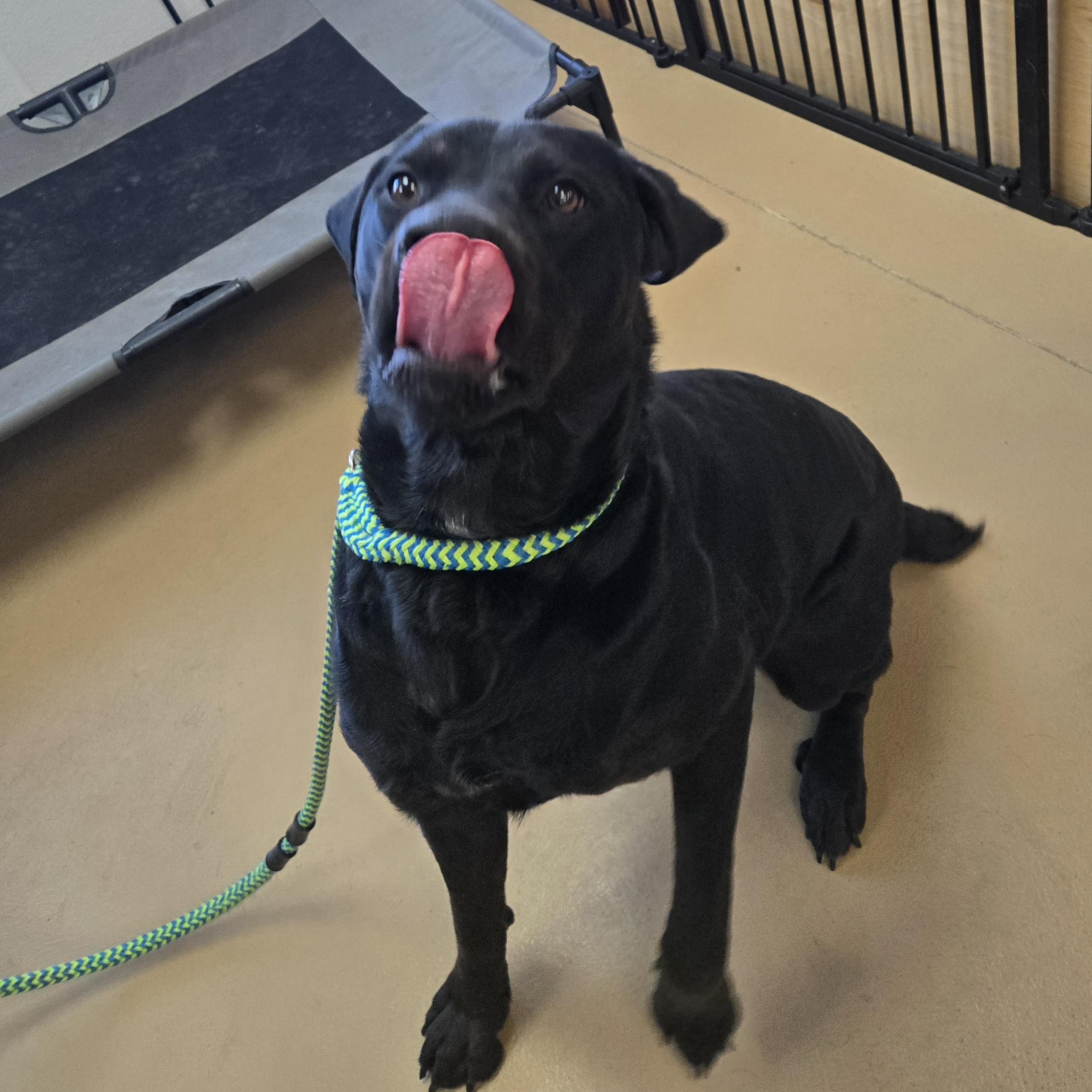 Hercules thumbnail 4