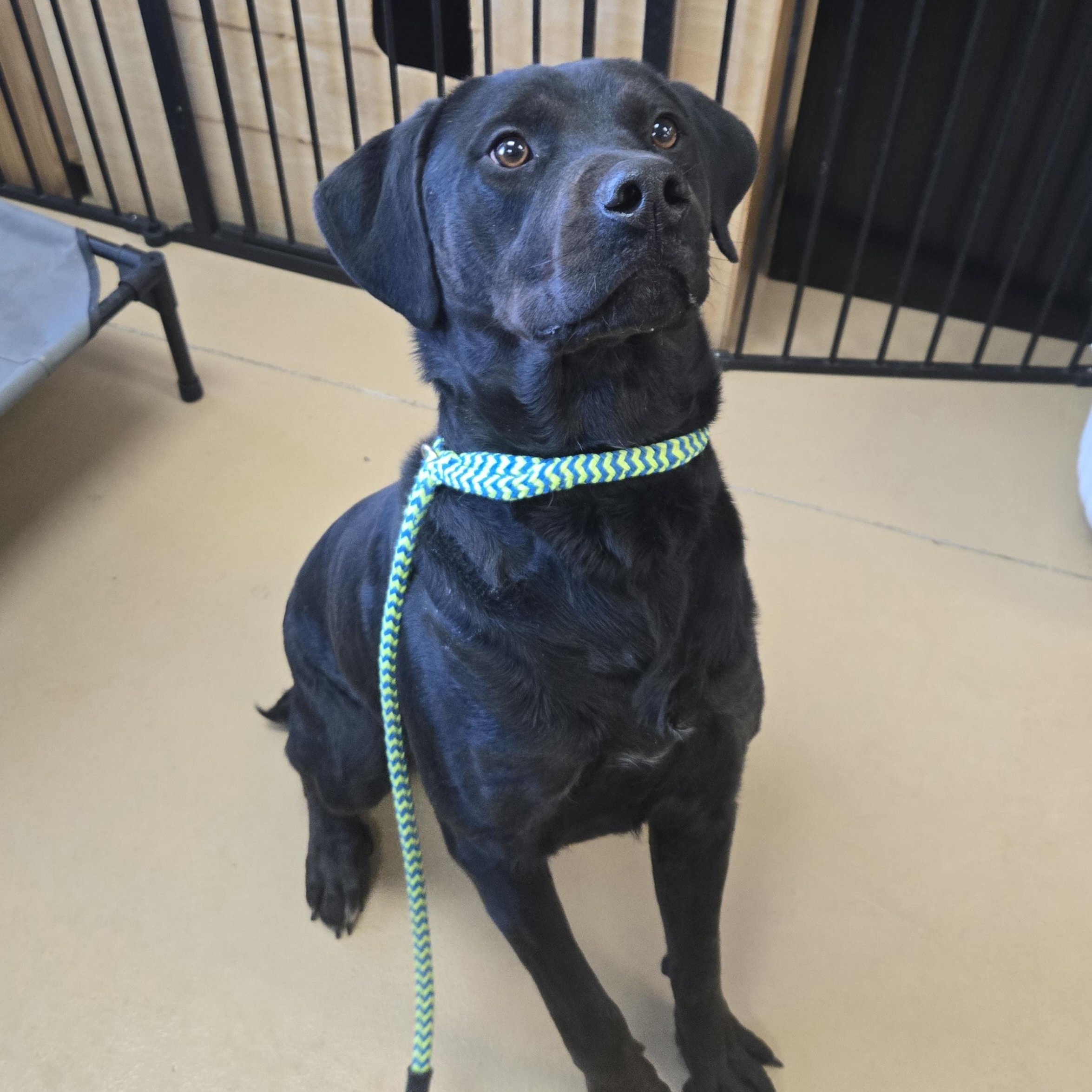 Hercules thumbnail 6