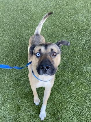 Frasier — thumbnail 2