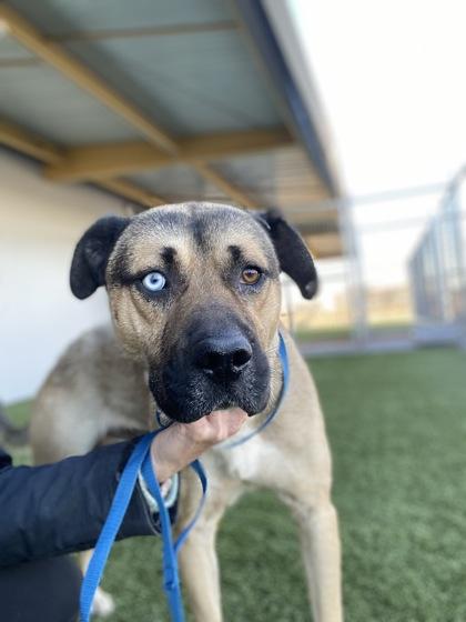 Frasier — thumbnail 4