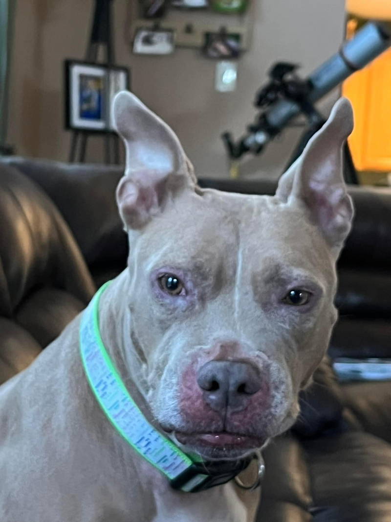 Baby Girl, Senior Female unknown