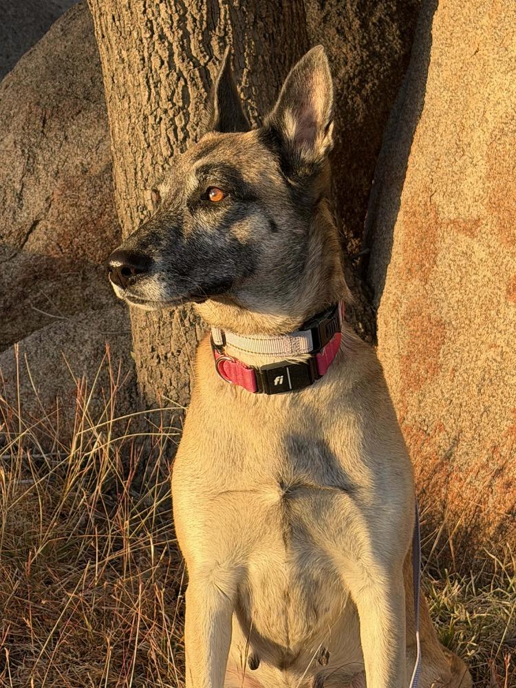 Maya Located In Texas thumbnail 3