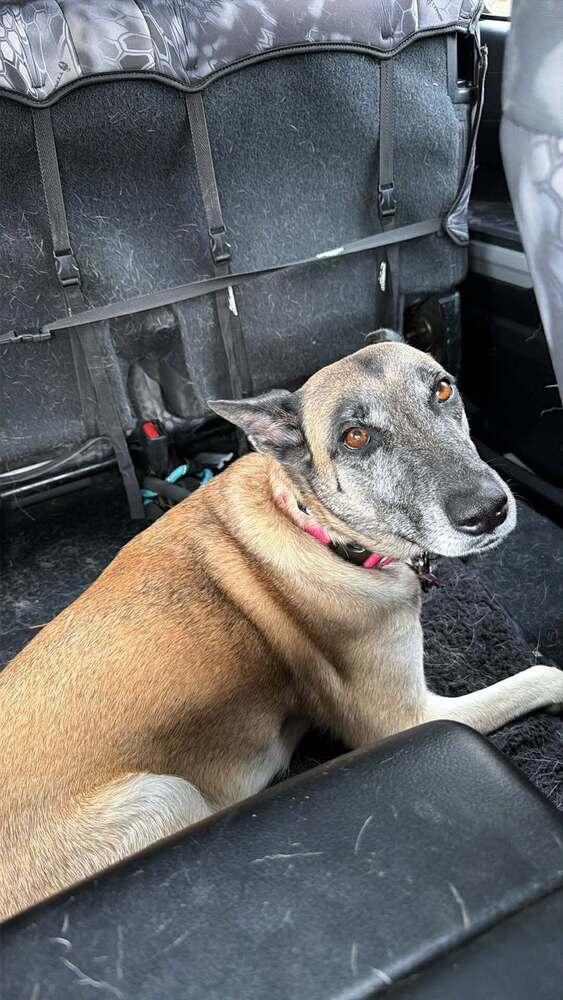 Maya Located In Texas thumbnail 4