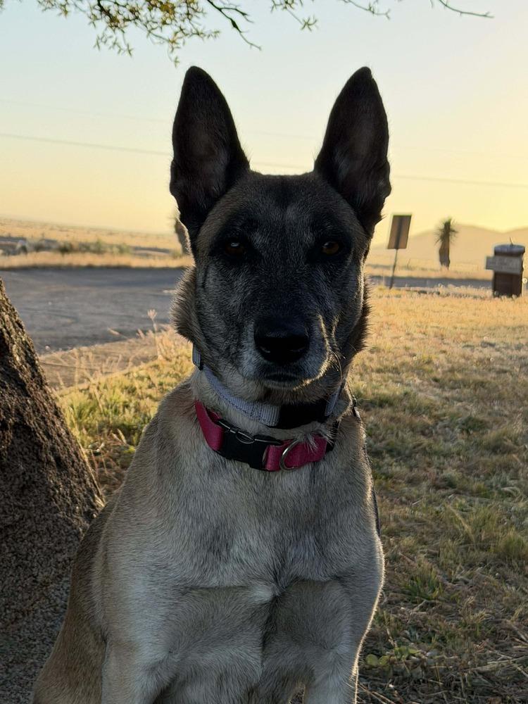 Maya Located In Texas thumbnail 6