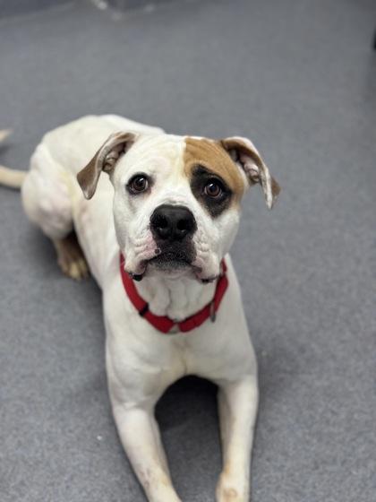 Jody — thumbnail 2