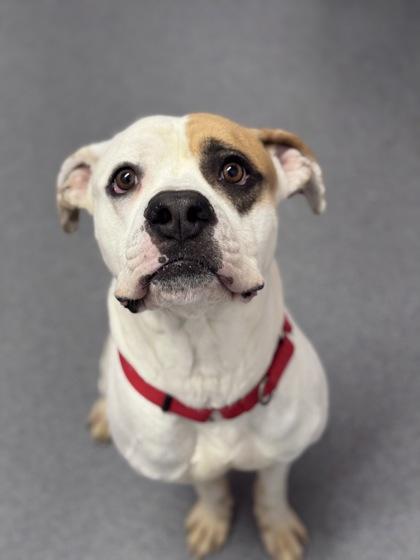 Jody — thumbnail 3