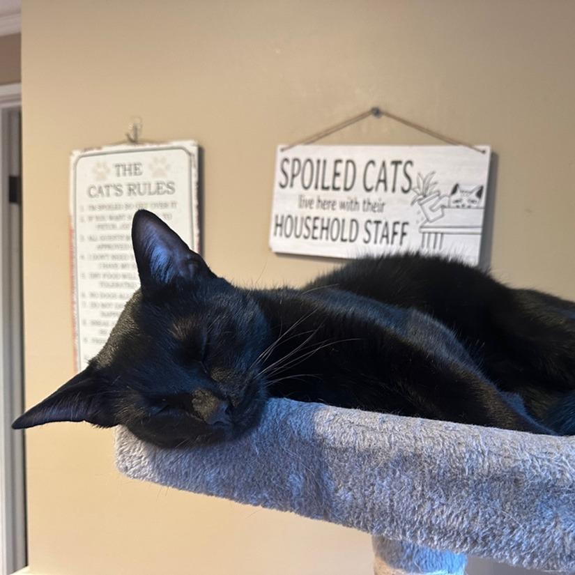 West — thumbnail 2