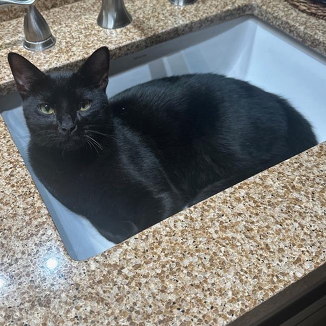 West — thumbnail 3