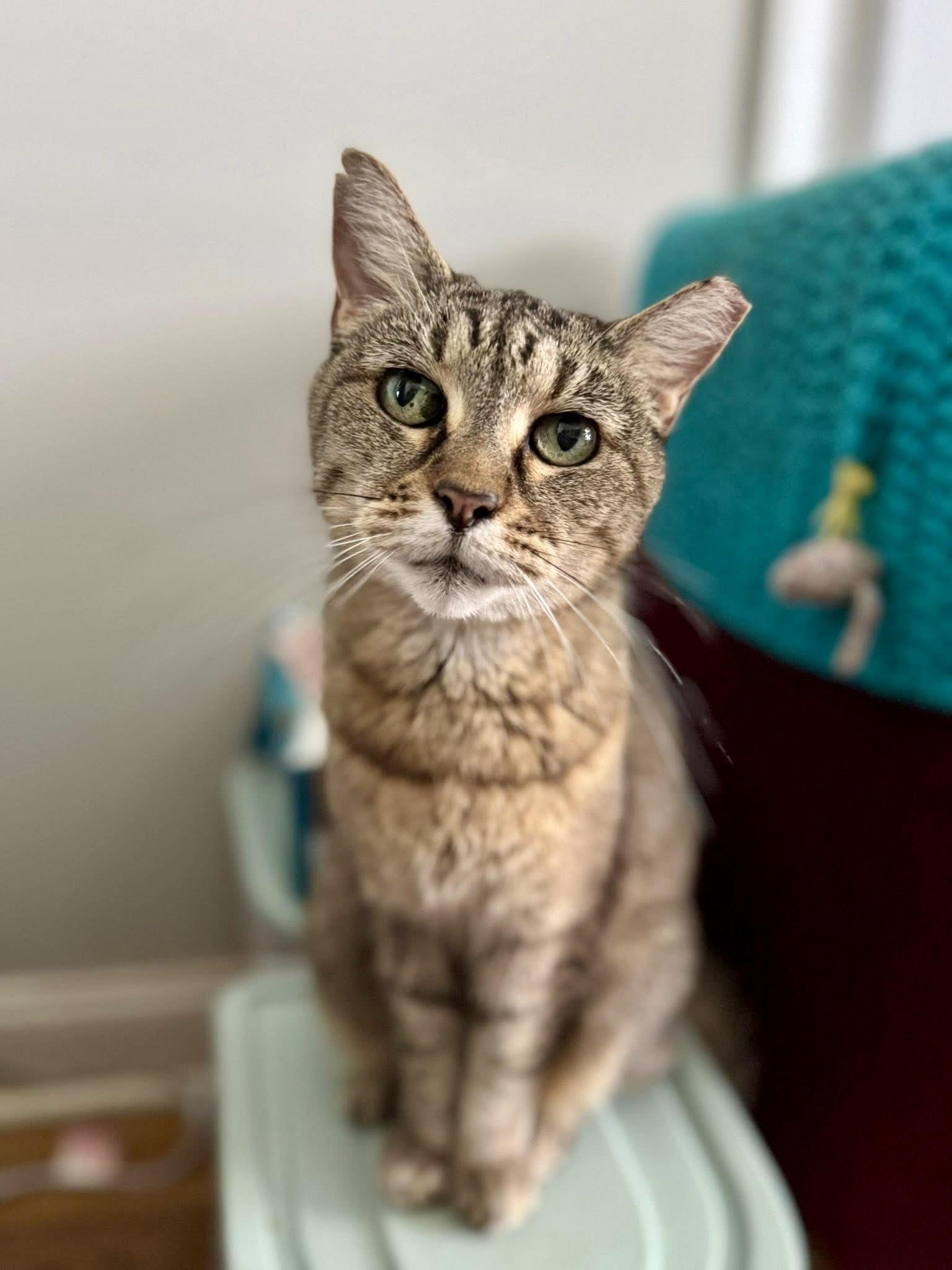 Greta