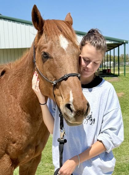 Enlarge JJ, a Adoptable mixed breed in Fort Worth, TX image 2/3