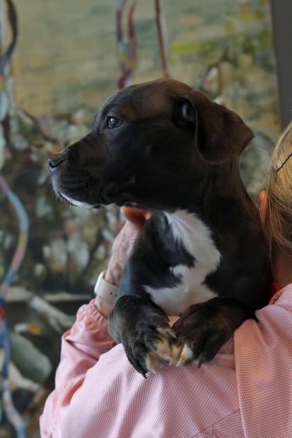 Pacific — thumbnail 2