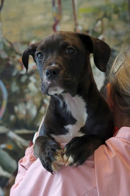 Pacific — thumbnail 3