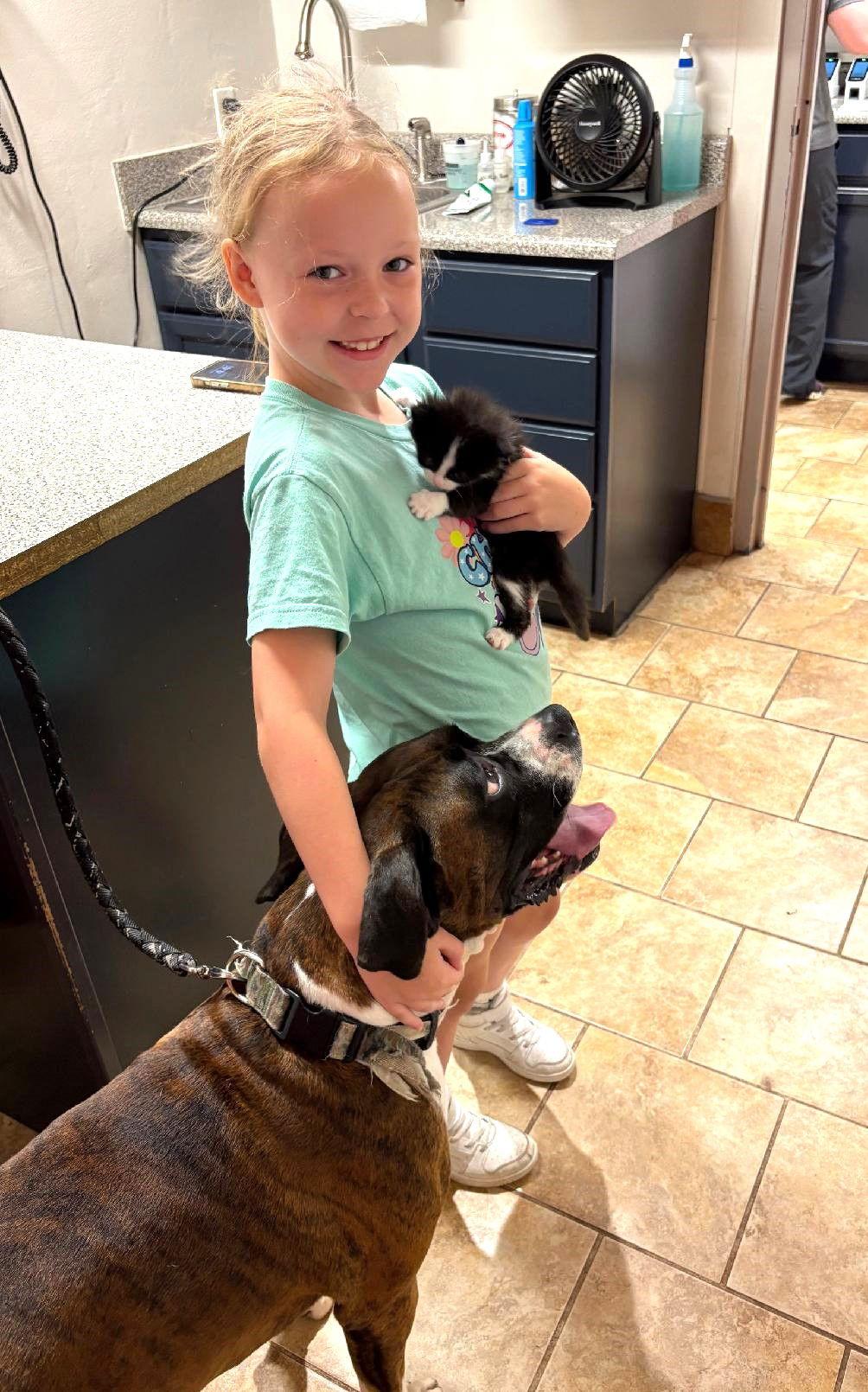 Xeus/Zeus, a Adopted Boxer in Evans, WV image 1/3