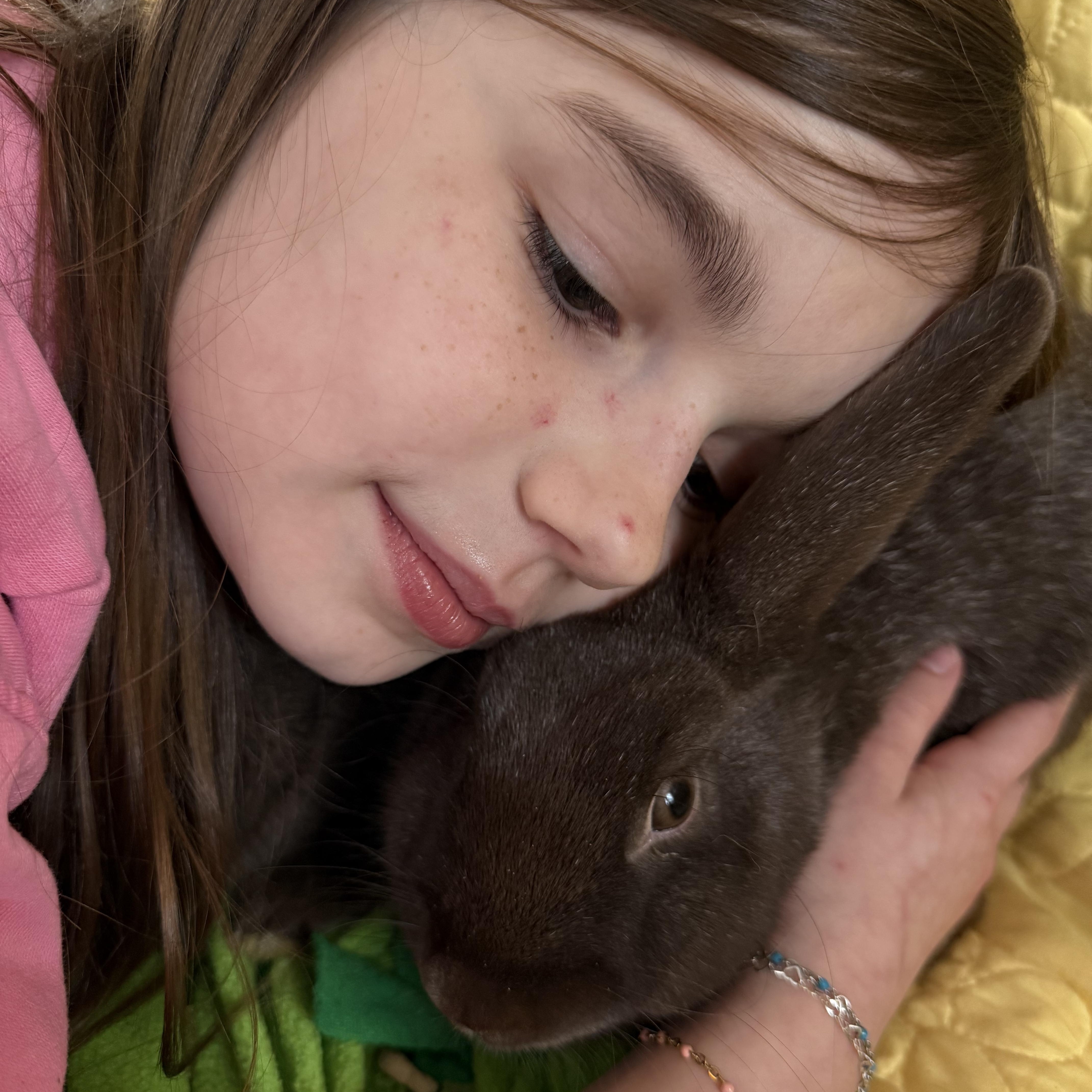 Enlarge Firework and her babies , a ADOPTABLE New Zealand in St. Charles, MO image 2/6