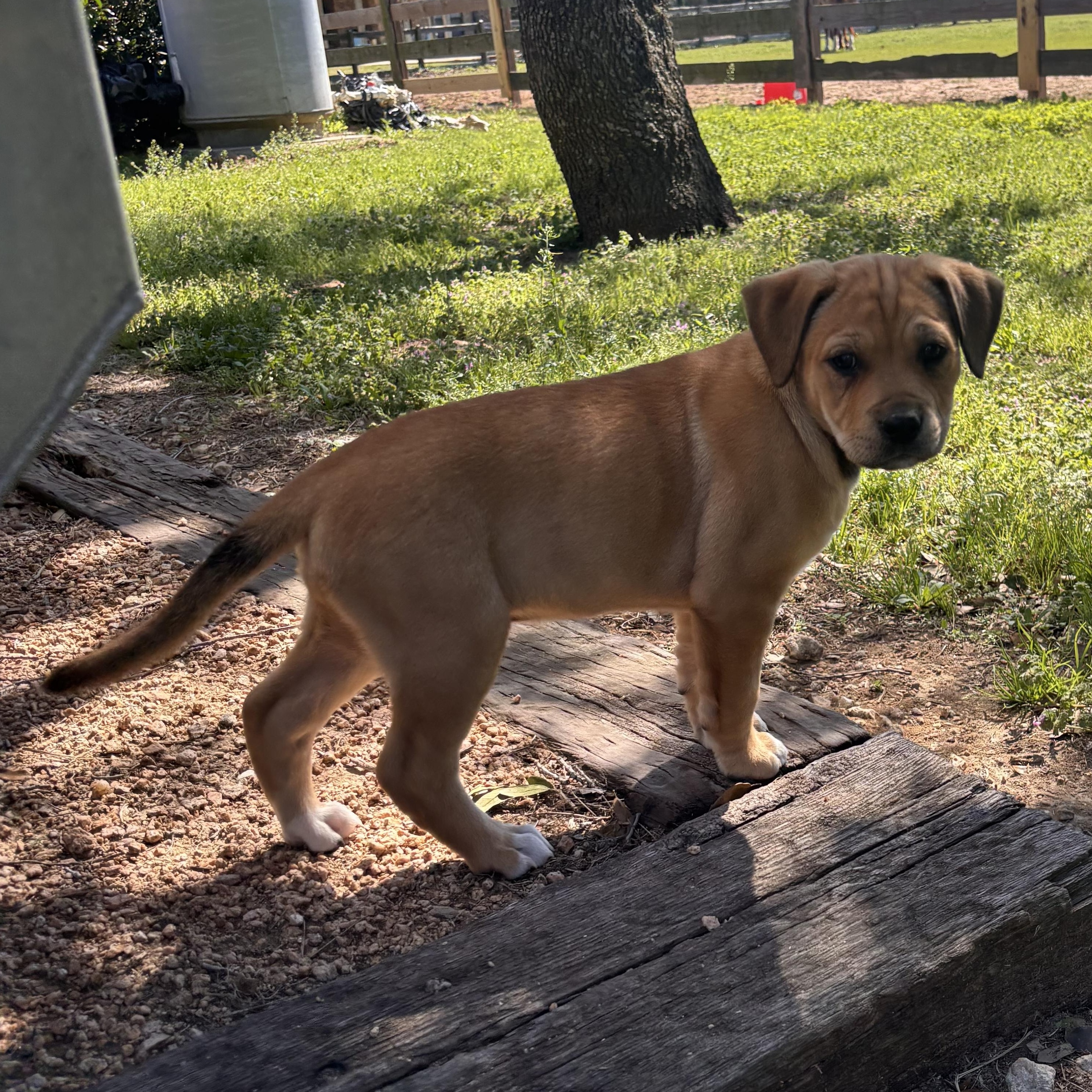 Trinity — thumbnail 2