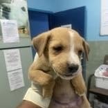 Claire (20260219-13) — thumbnail 2