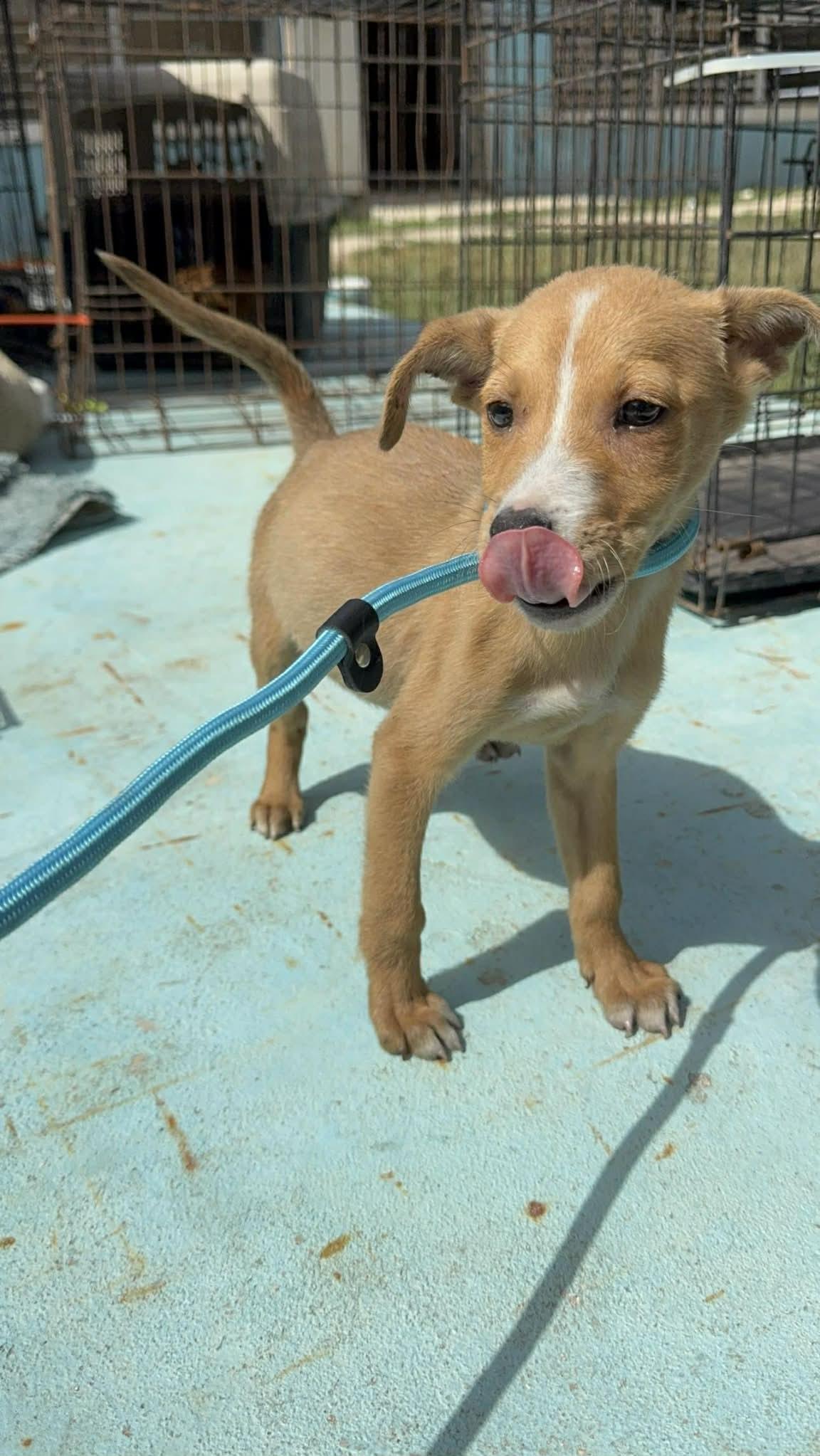 Claire (20260219-13) — thumbnail 3