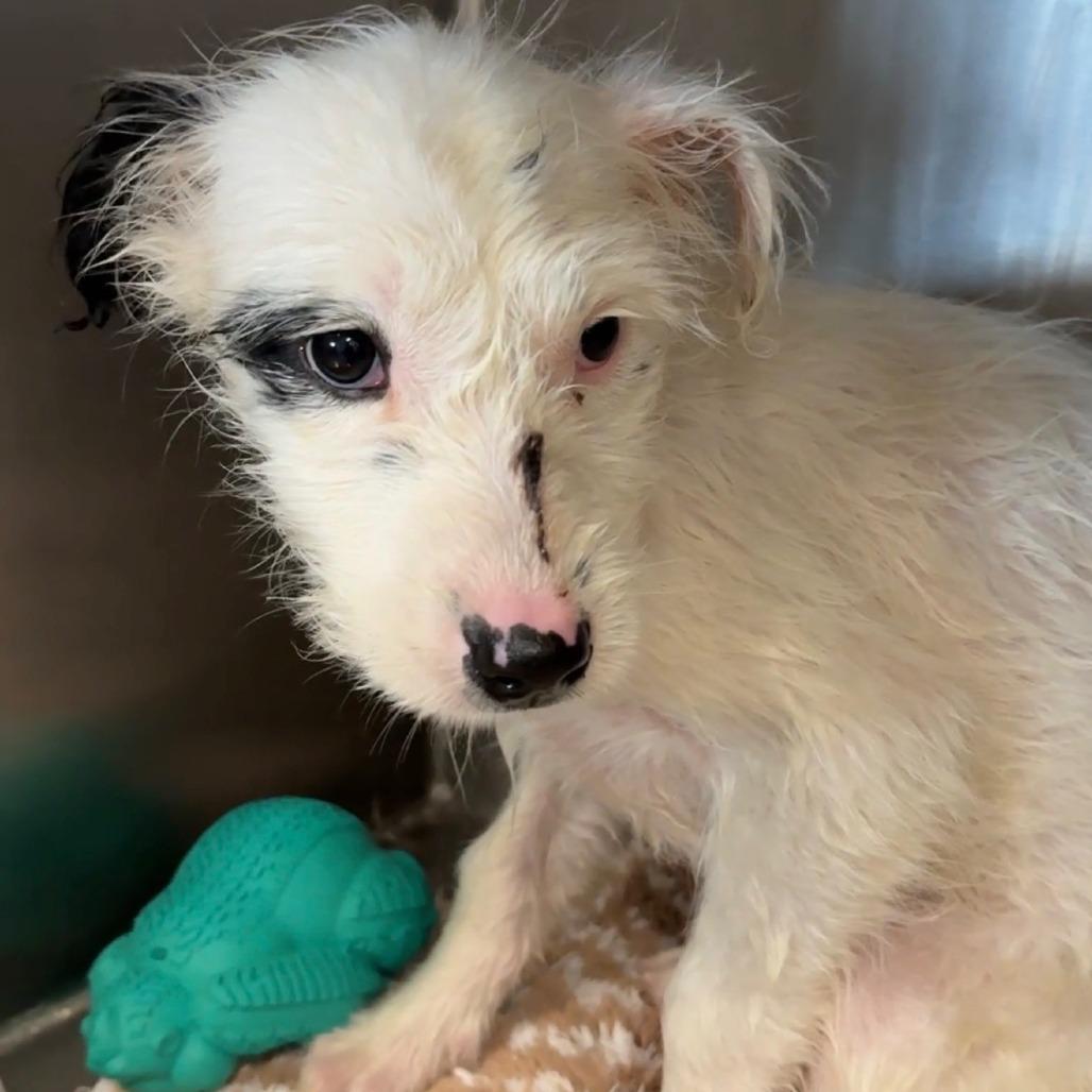 Monique — thumbnail 2