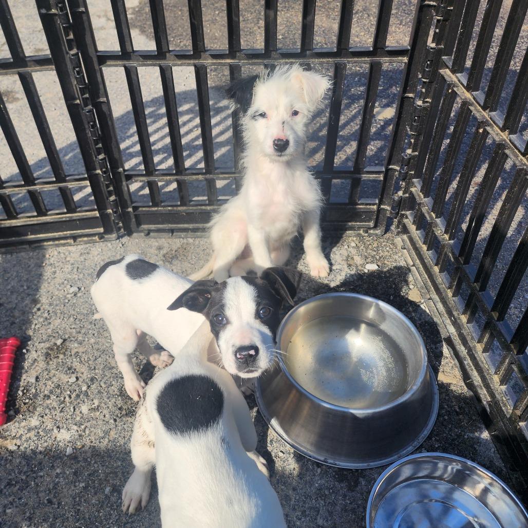 Monique — thumbnail 3