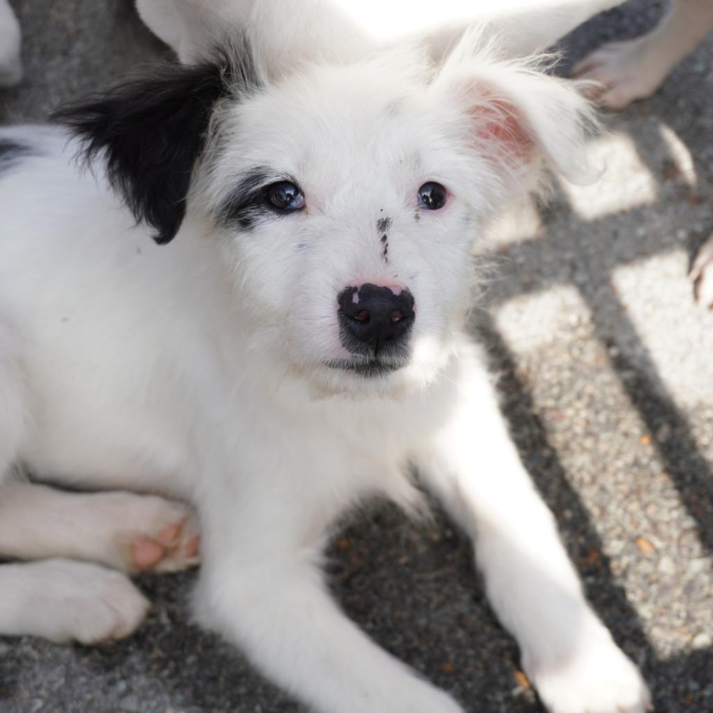 Monique — thumbnail 4