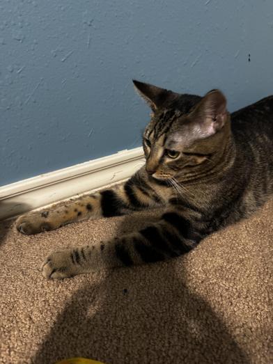 Eleanor — thumbnail 2