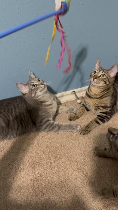 Eleanor — thumbnail 3