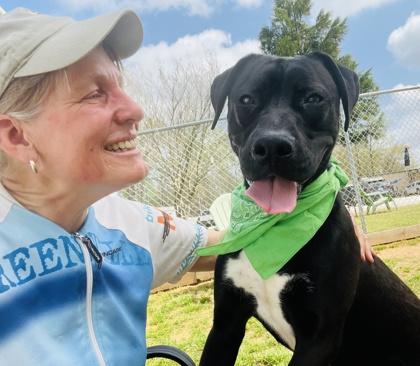 Enlarge Loaf $85, a Adoptable mixed breed in Seneca, SC image 3/3