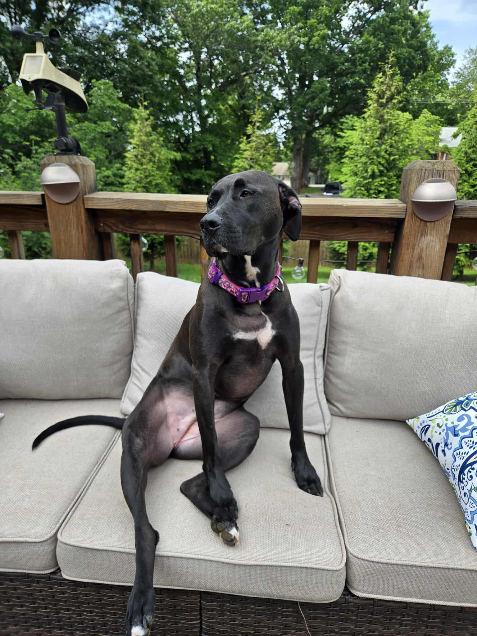 Stormy — thumbnail 4