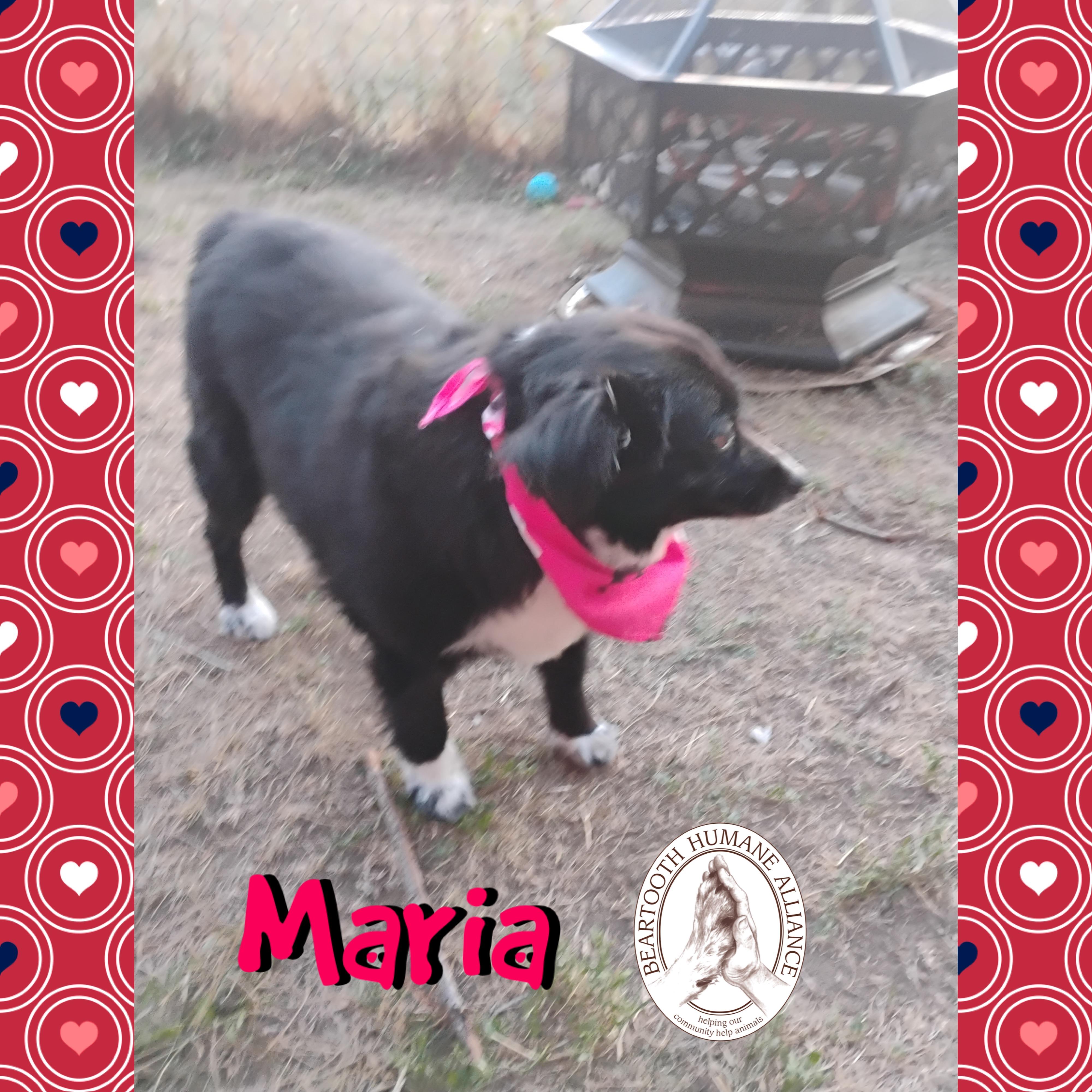 Maria and Spring