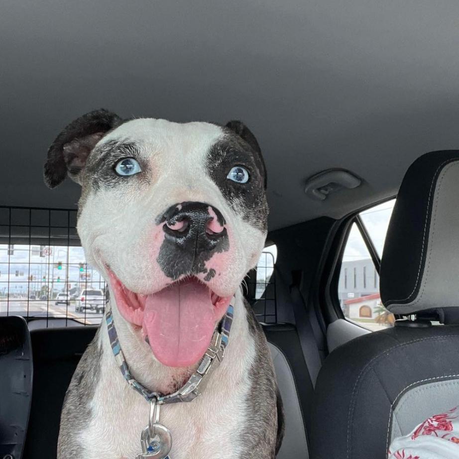 Lily — thumbnail 2