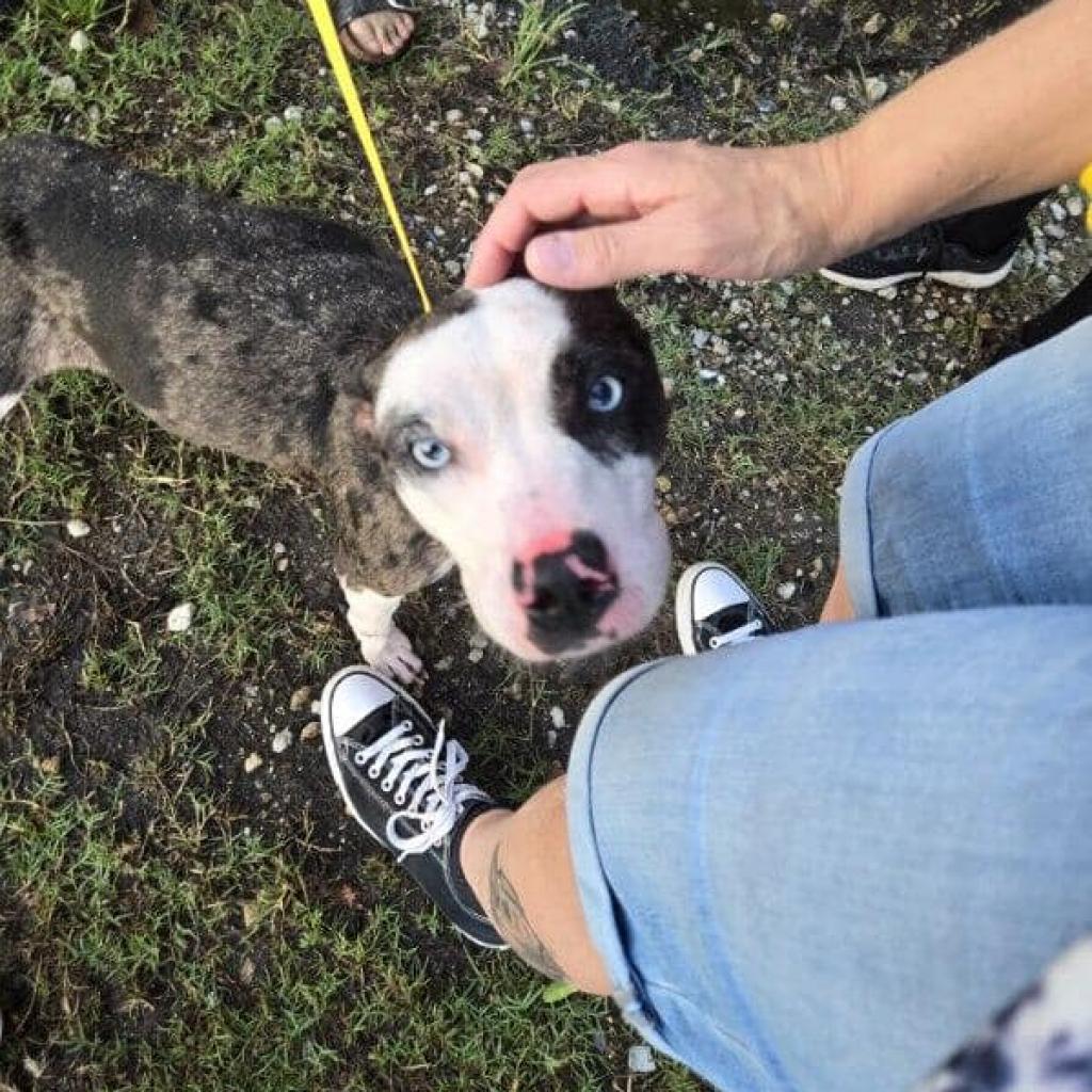 Lily — thumbnail 3