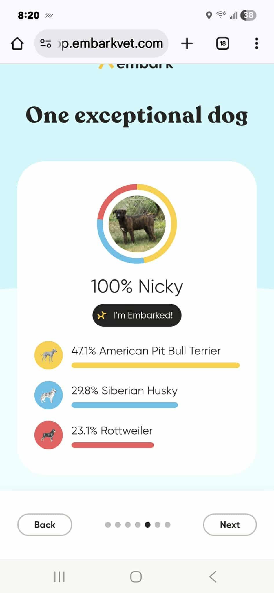 Serena Joy thumbnail 4