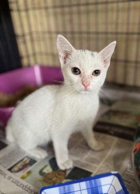 Lucas — thumbnail 3