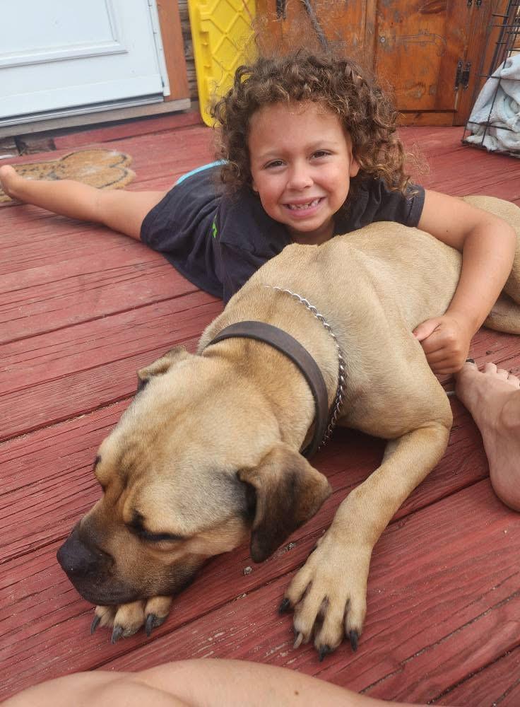 Enlarge Libby , a ADOPTABLE Mixed Breed in Acushnet, MA image 3/6