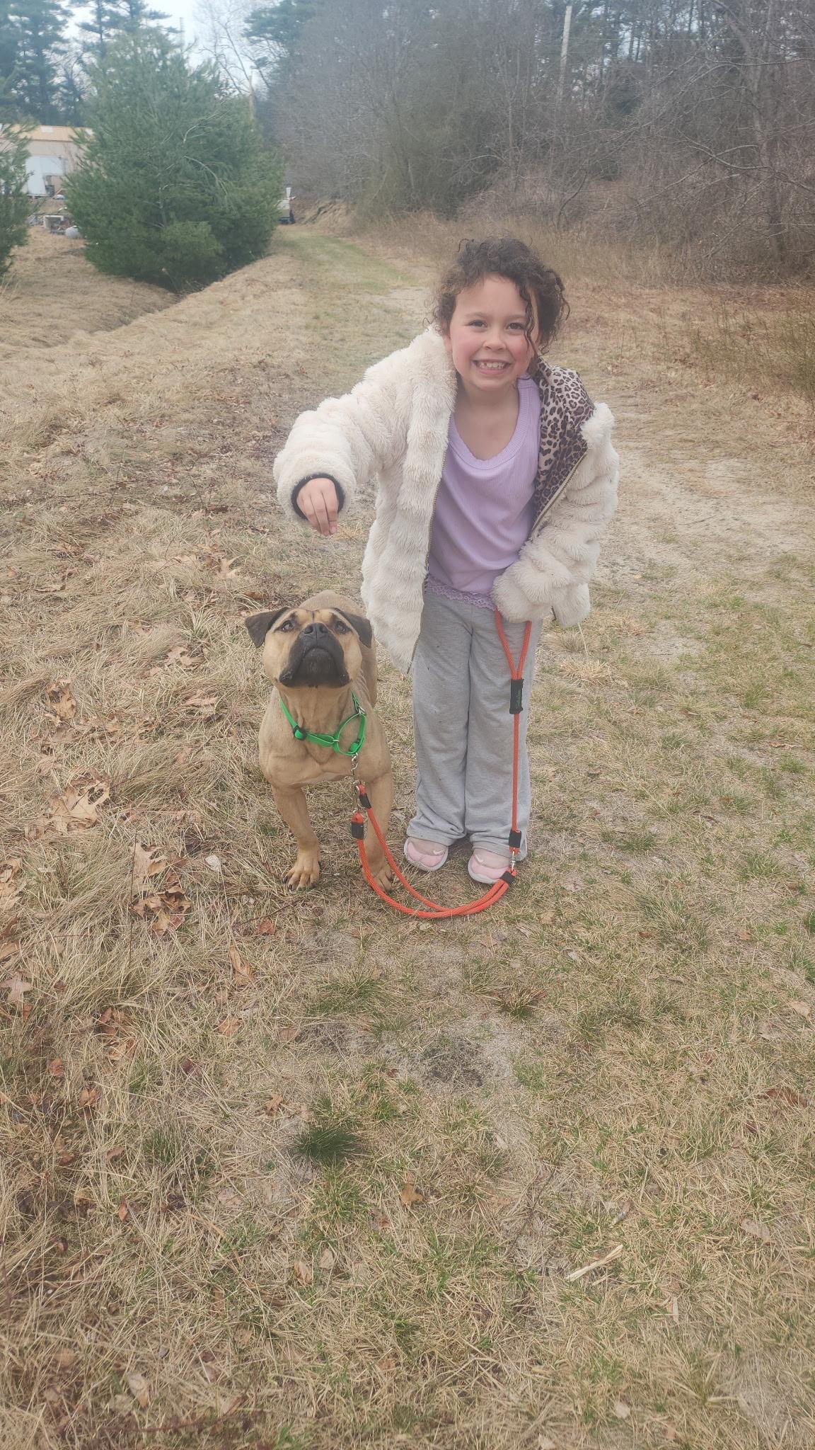 Enlarge Libby , a ADOPTABLE Mixed Breed in Acushnet, MA image 2/6