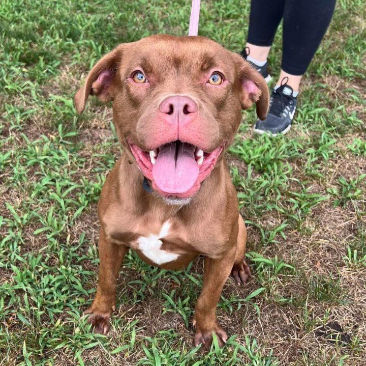 Nala  1