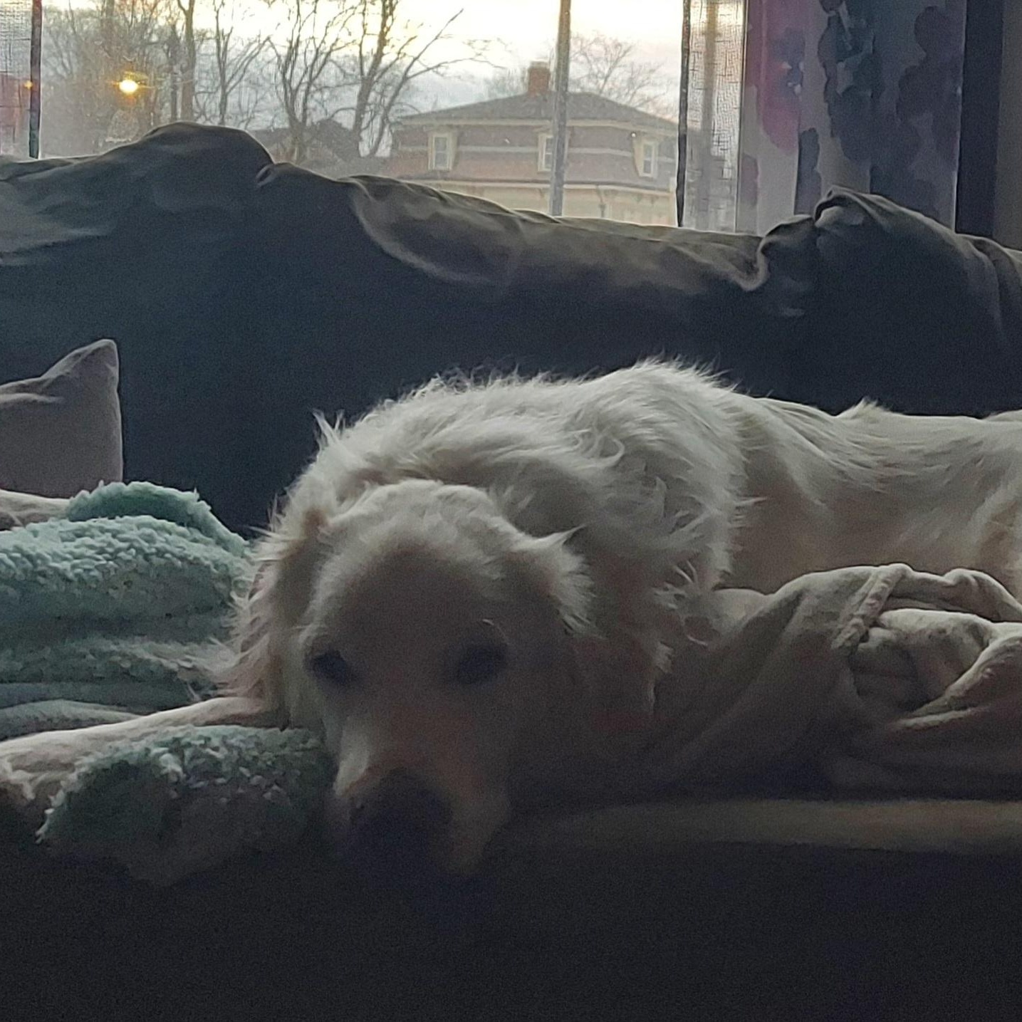 Monty