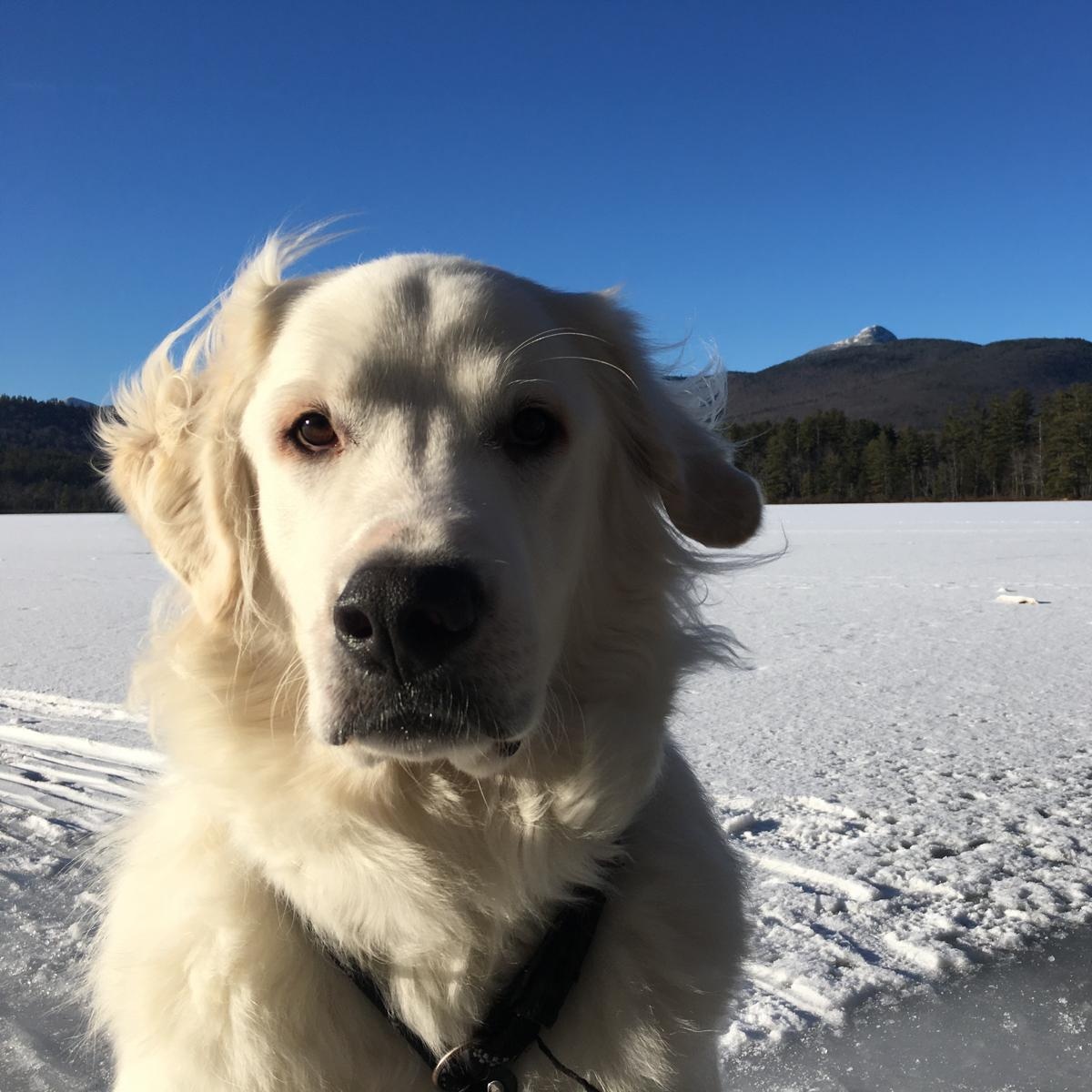 Monty