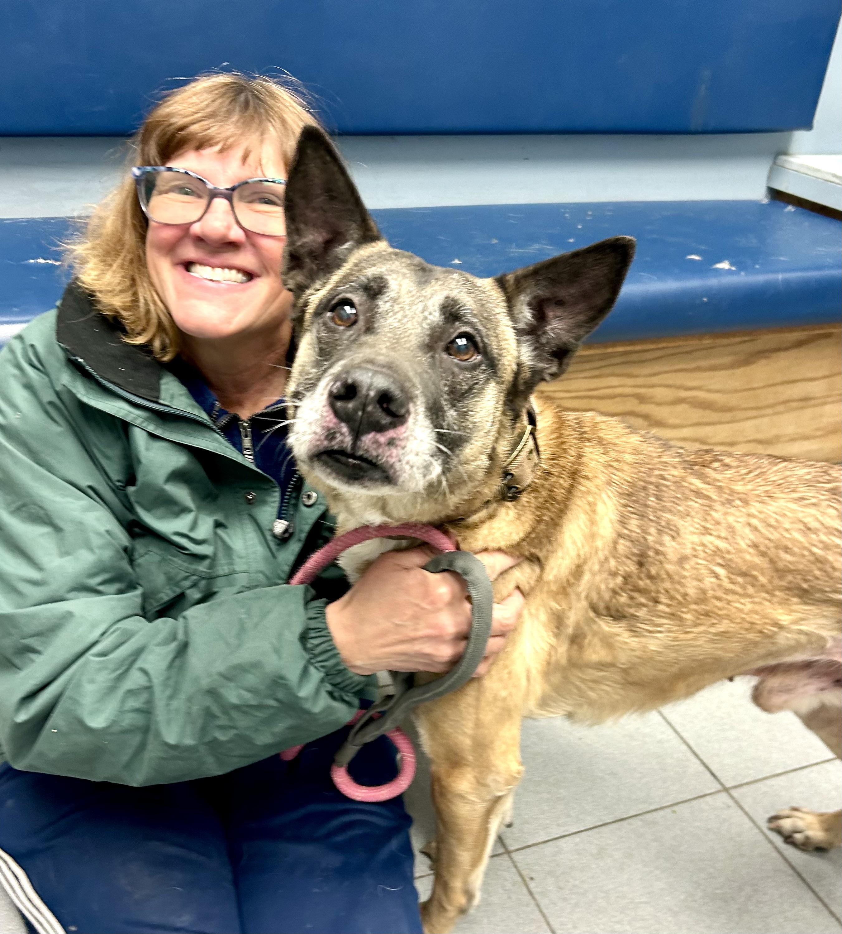 Enlarge Chopper, an adopted Shepherd in Buffalo, NY image 3/4